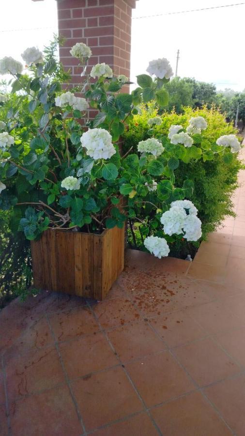 Villetta Giardino degli Ulivi Ortona Esterno foto